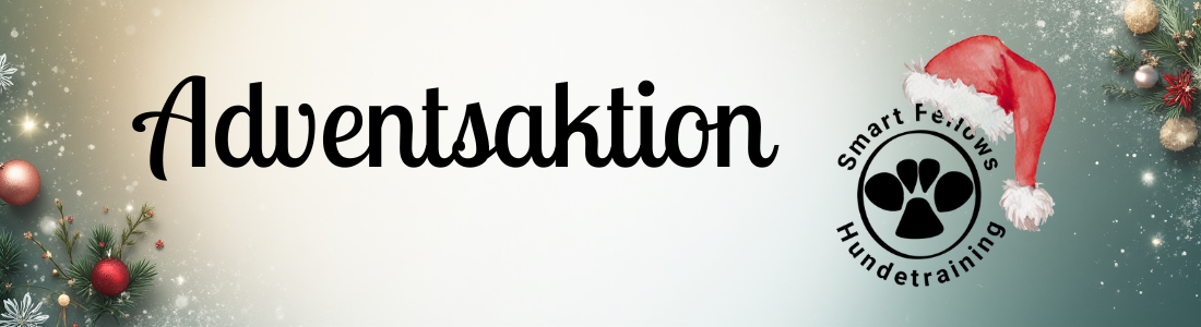 Adventsaktion